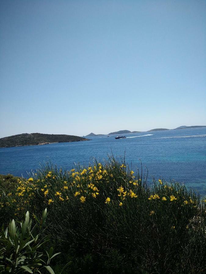 Nefeli Hotel İlipsi Dış mekan fotoğraf
